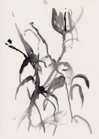 http://www.soerenhiob.com/files/gimgs/th-99_4  10.jpg